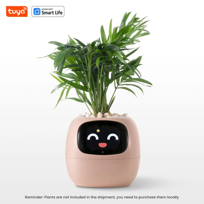 Tuya Ivy – Pot de Plante Intelligent 7 Capteurs AIcile et Amusant
