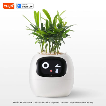 Tuya Ivy – Pot de Plante Intelligent 7 Capteurs AIcile et Amusant