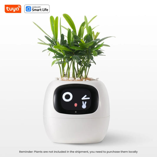 Tuya Ivy – Pot de Plante Intelligent 7 Capteurs AIcile et Amusant