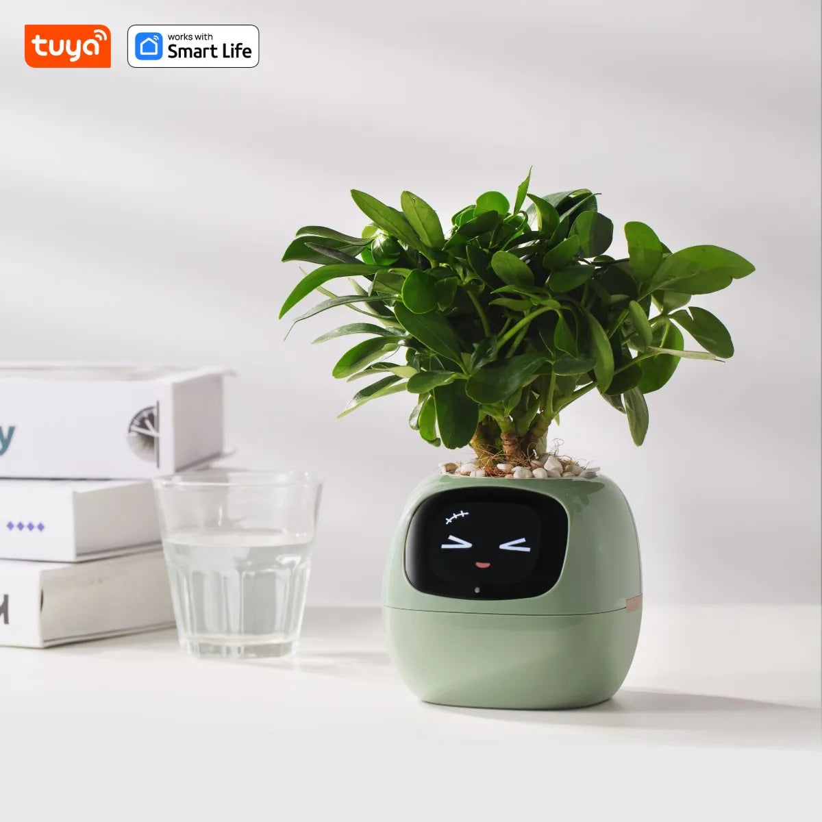 Tuya Ivy – Pot de Plante Intelligent 7 Capteurs AIcile et Amusant