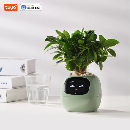 Tuya Ivy – Pot de Plante Intelligent 7 Capteurs AIcile et Amusant
