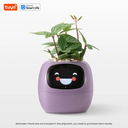 Tuya Ivy – Pot de Plante Intelligent 7 Capteurs AIcile et Amusant